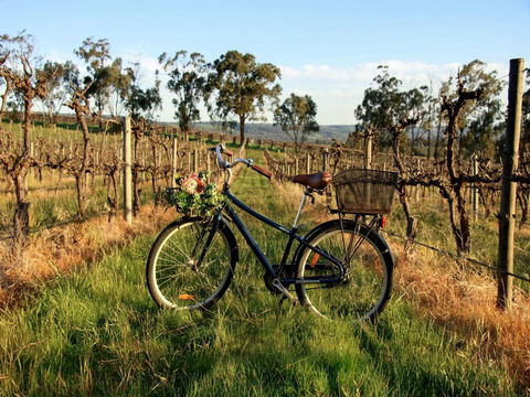 Lost In The Vines - Gold Coast 4U 17