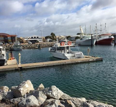 Port Lincoln Shark Apartment 1 - Accommodation Gold Coast 14
