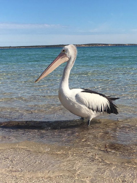 Sail & Anchor - Accommodation Gold Coast 2