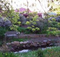 Frog Song at Willunga - Gold Coast 4U