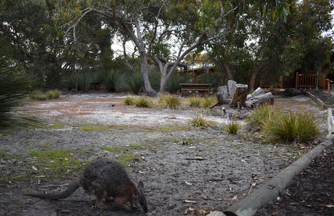 Kangaroo Island Wilderness Retreat - Gold Coast 4U 1
