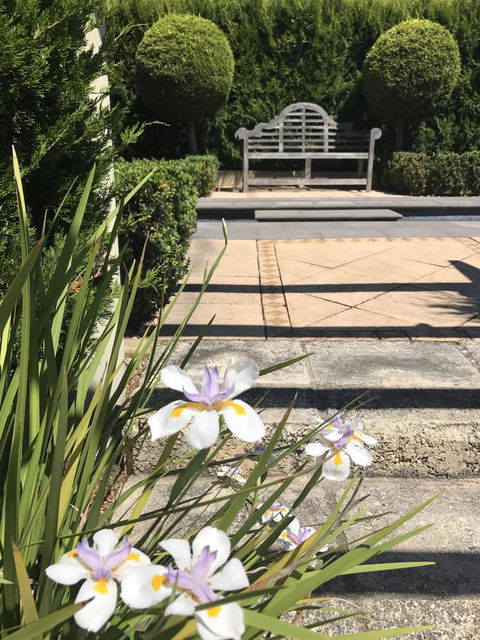 S T U D I O 22 Peaceful Retreat With Garden Views - Gold Coast 4U 13