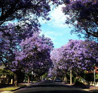 Monaco Court Apartment Adelaide - Accommodation Gold Coast