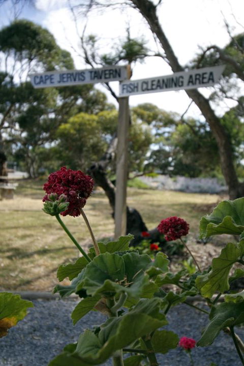 Cape Jervis Holiday Units - Gold Coast 4U 13