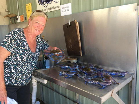 Ceduna Foreshore Caravan Park - 1 Gold Coast 28