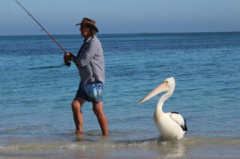 Ceduna Foreshore Caravan Park - 1 Gold Coast 21