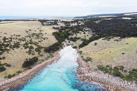 Sea Dragon Kangaroo Island - Accommodation Gold Coast 0