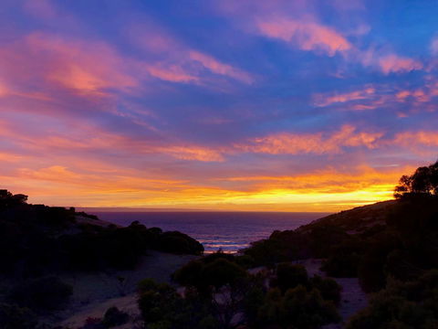 Sea Dragon Kangaroo Island - Accommodation Gold Coast 14