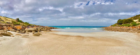 Sea Dragon Kangaroo Island - Accommodation Gold Coast 16