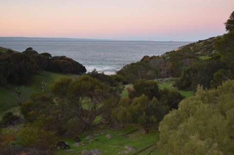 Sea Dragon Kangaroo Island - Accommodation Gold Coast 30