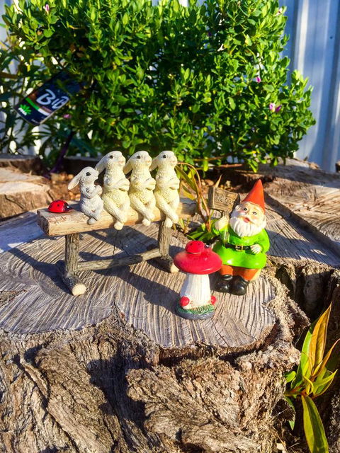 Inglenook Cottage - Accommodation Gold Coast 34