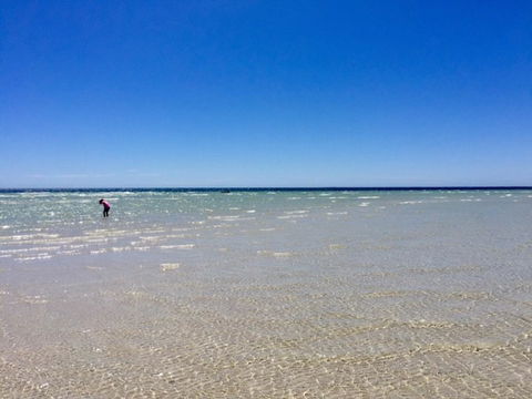 Inglenook Cottage - Accommodation Gold Coast 37