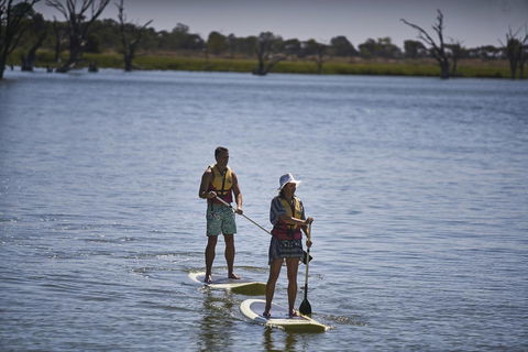 Discovery Parks - Lake Bonney - Gold Coast 4U 19