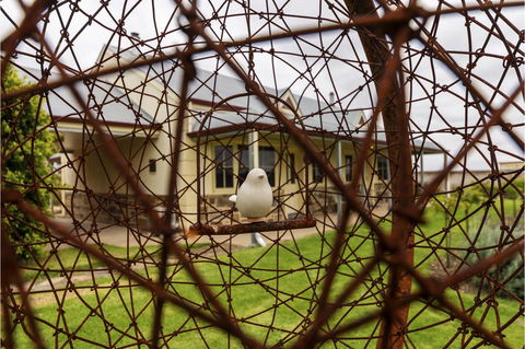 Barossa Vineyard Cottages - Gold Coast 4U 21