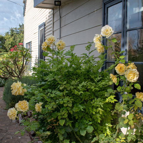 Haven Cottage Kangaroo Island - Gold Coast 4U 1