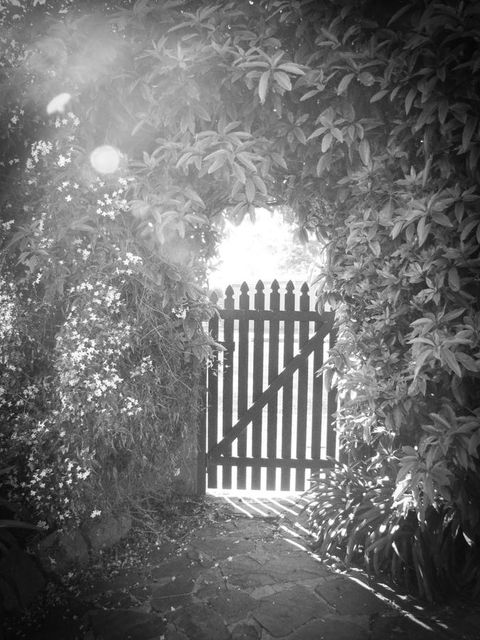 Haven Cottage Kangaroo Island - Gold Coast 4U 33