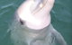 Discovery Parks - Whyalla Foreshore - thumb 18