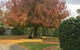 Barossa Retro BnB - thumb 30