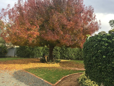 Barossa Retro BnB - Gold Coast 4U 30