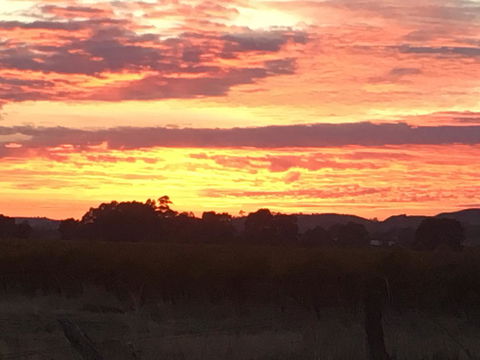 Barossa Retro BnB - Gold Coast 4U 21