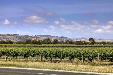 Barossa Retro BnB - Gold Coast 4U 2