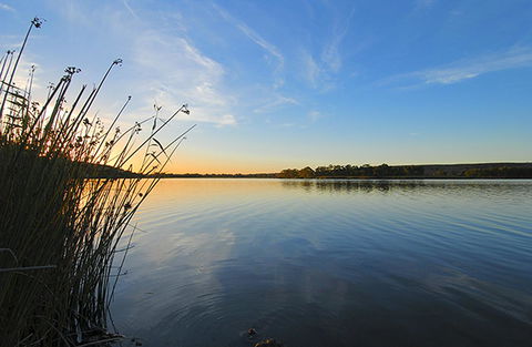 Riverview Rise Retreats - Gold Coast 4U 14