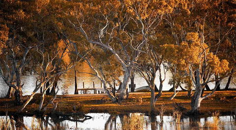 Riverview Rise Retreats - Gold Coast 4U 4