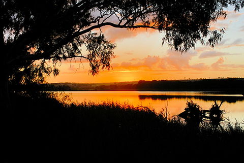 Riverview Rise Retreats - Gold Coast 4U 12
