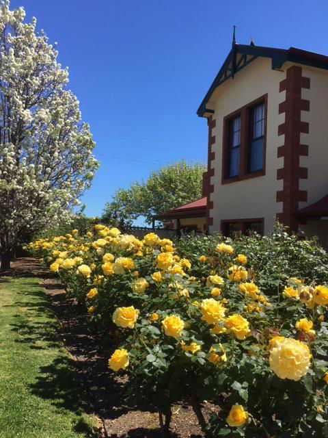 Wine And Roses Bed And Breakfast - Accommodation Gold Coast 5