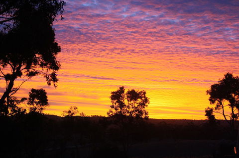 Rabbiters Hut - Gold Coast 4U 33
