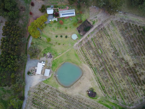 STUDIO ECHUNGA Adelaide Hills - Accommodation Gold Coast 22