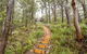Smiths Lake House - thumb 29