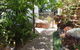Little Para Cottage Tanunda - thumb 12