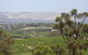 Elandra Holiday Home - thumb 18