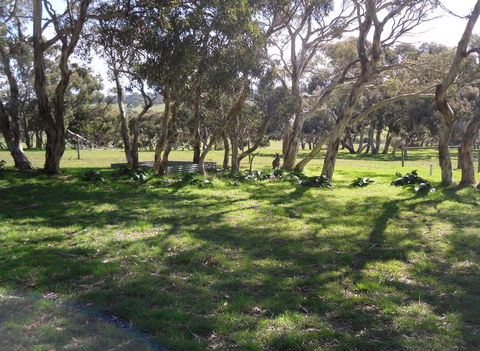 Wenton Farm Holiday Cottages - Accommodation Gold Coast 1