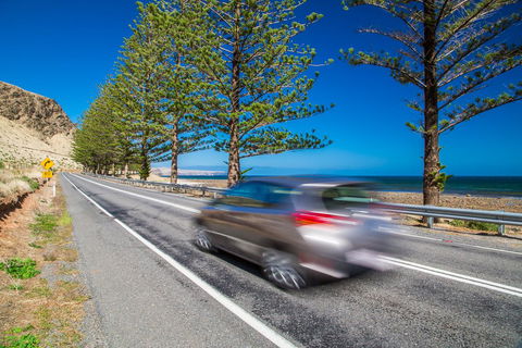 Lady Bay Hotel - Gold Coast 4U 26