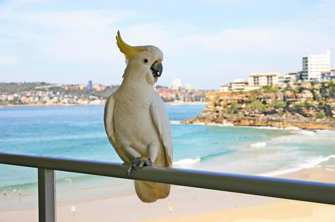 Beachfront Bliss - Gold Coast 4U 23