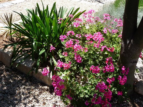 Country Bakehouse Accommodation - Accommodation Gold Coast 18