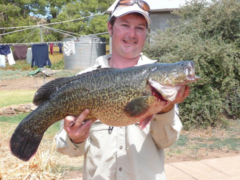 Country Bakehouse Accommodation - Accommodation Gold Coast 20