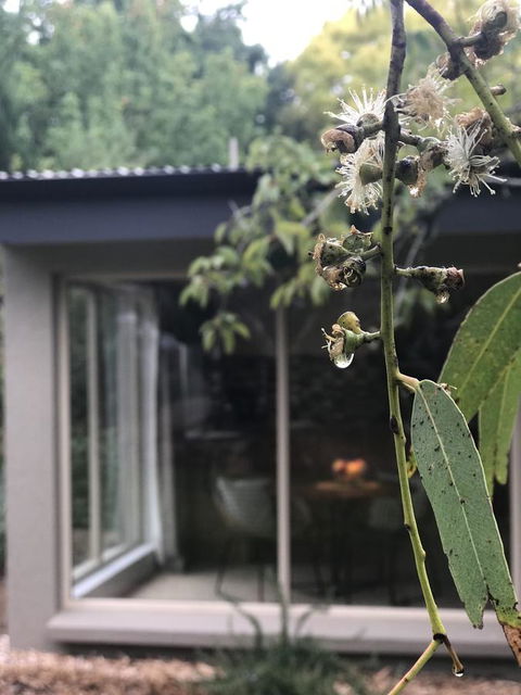 Adelaide Hills Retreats - Accommodation Gold Coast 9