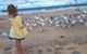 Moana Beach Tourist Park - thumb 9