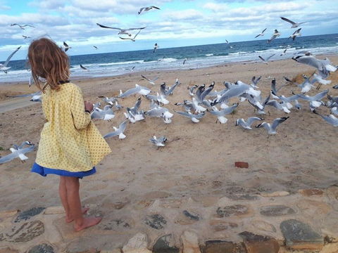 Moana Beach Tourist Park - Gold Coast 4U 9