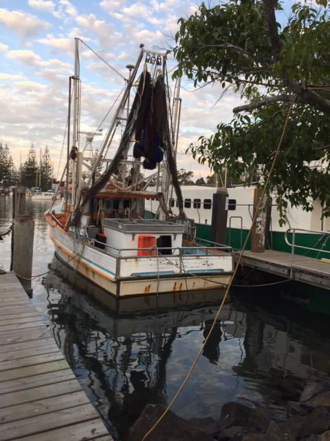 Brunswick Heads Treetop Studio - Gold Coast 4U 25