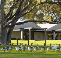 Serafino McLaren Vale