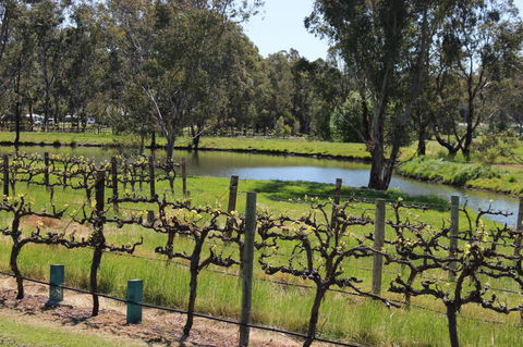 OXENBERRY FARM - Accommodation Gold Coast 19