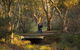 BIG 4 Barossa Tourist Park - thumb 26