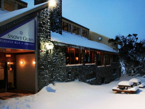 Snowy Gums Chalet - Accommodation Gold Coast 5