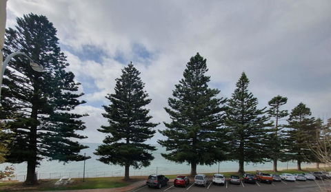 Pier Hotel Port Lincoln - Accommodation Gold Coast 12