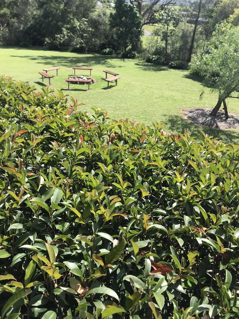 Avon View Stays Accommodation. - Accommodation Gold Coast 10