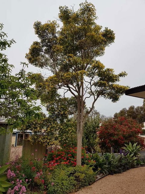 Sinclair Cottage - Accommodation Gold Coast 25